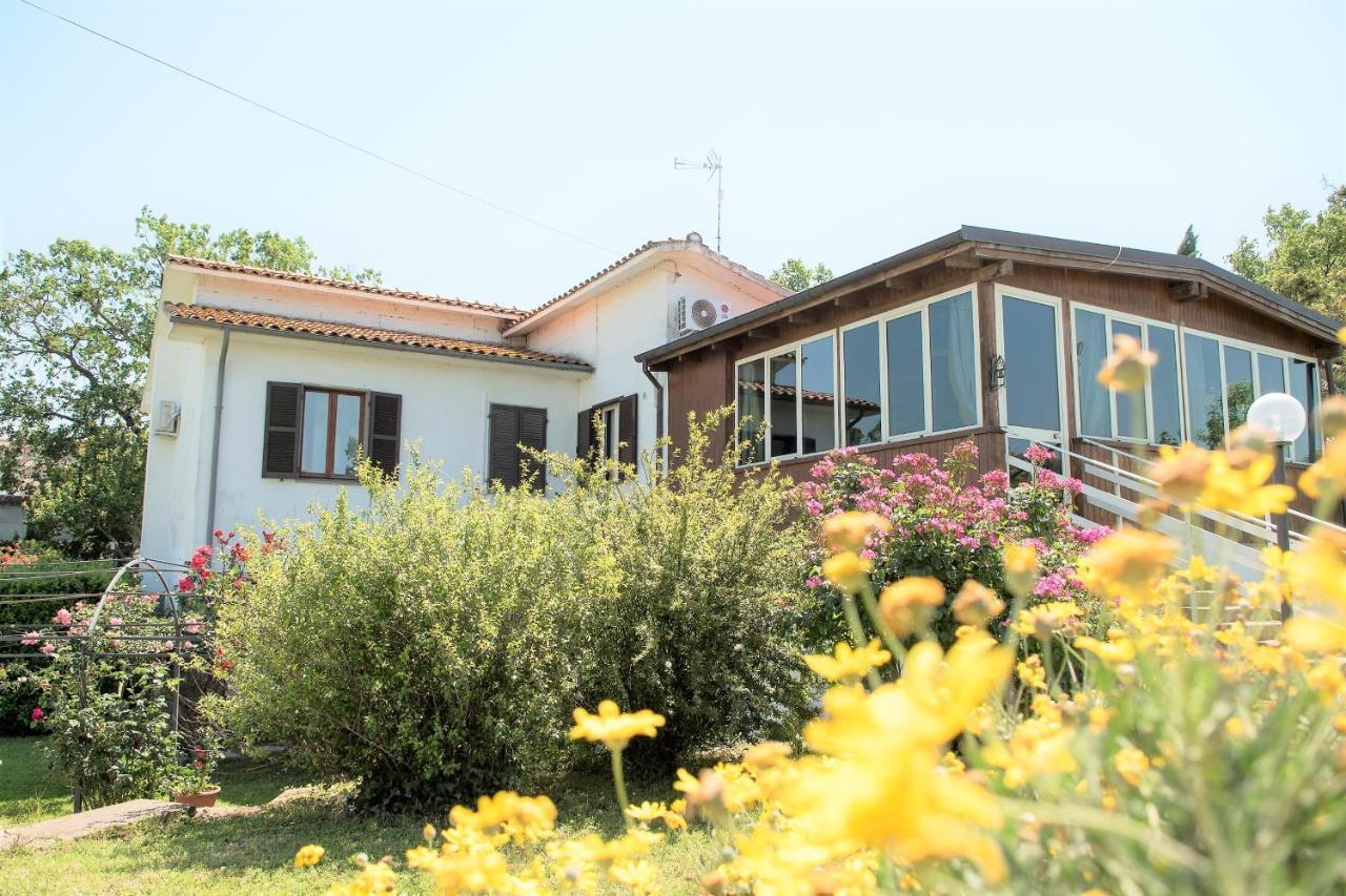 B&B Le Cinque Querce Витербо Экстерьер фото