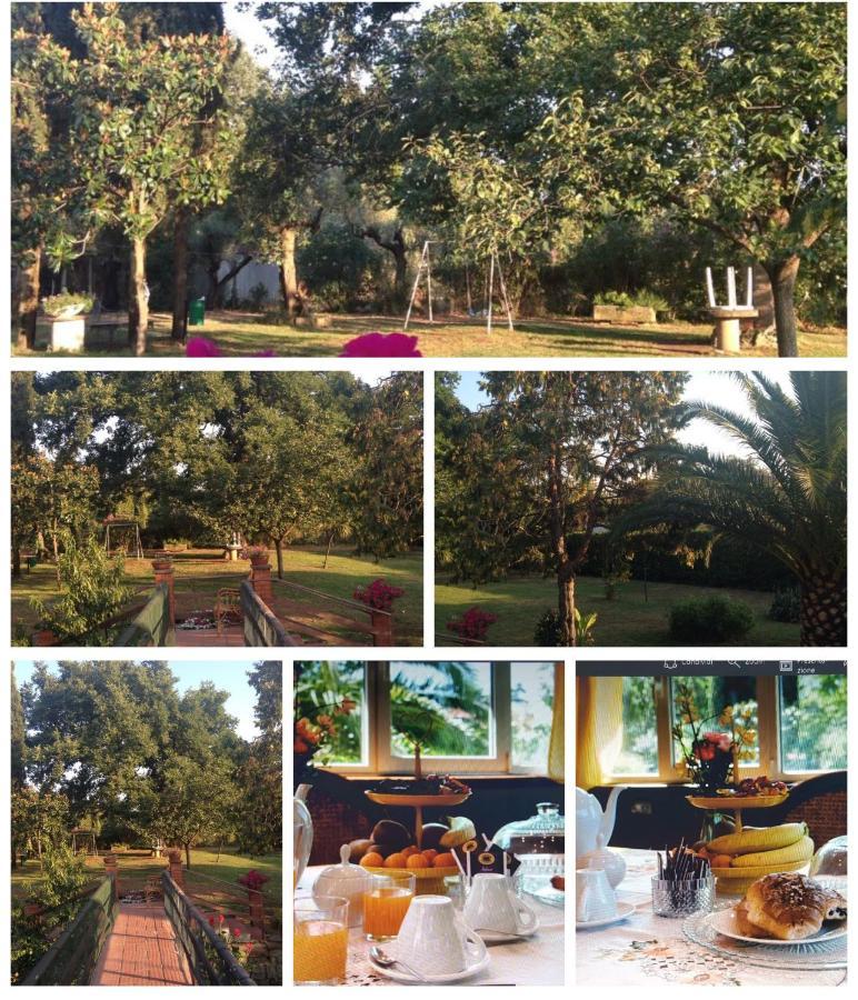 B&B Le Cinque Querce Витербо Экстерьер фото